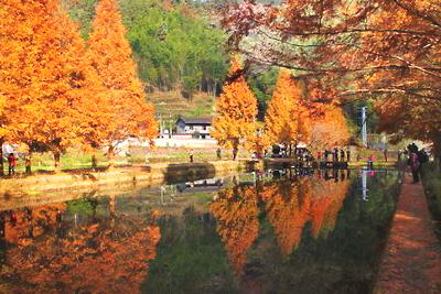 三明将乐龙栖山