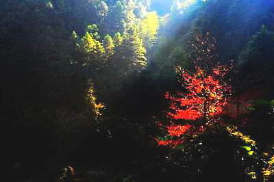 龙栖山十字坳