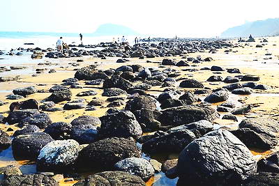 漳州火山岛自然生态风景区