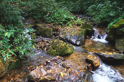 瑞丽莫里热带雨林景区