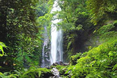 瑞丽莫里热带雨林景区