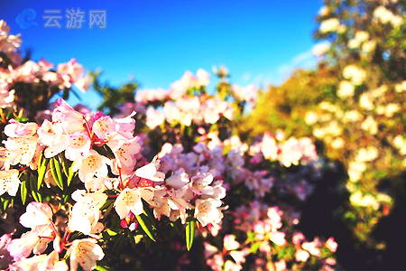 玉溪磨盘山景区