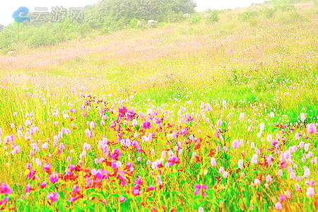 玉溪磨盘山景区