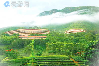 梅州雁南飞茶田景区