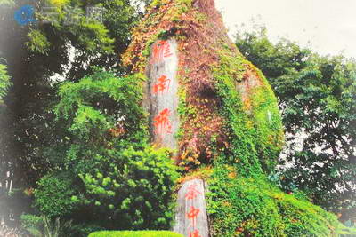 梅州雁南飞茶田景区