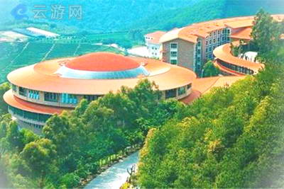 梅州雁南飞茶田景区