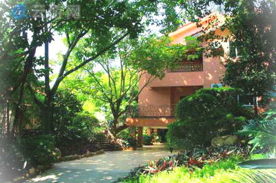 梅州雁南飞茶田景区