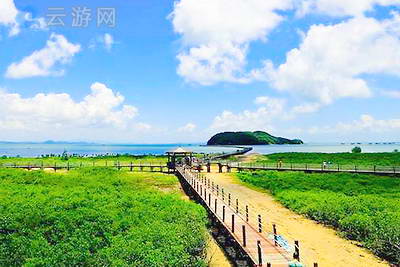 海陵岛红树林湿地公园