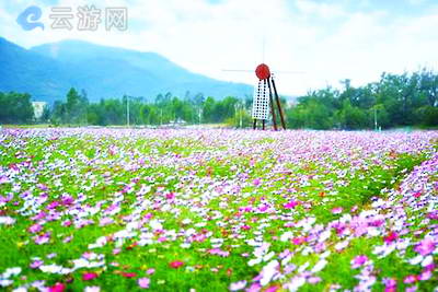 海陵岛山海经农业大观园