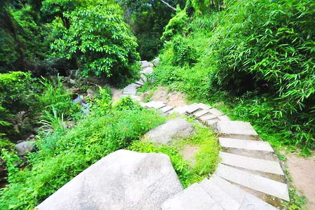 深圳羊台山森林公园