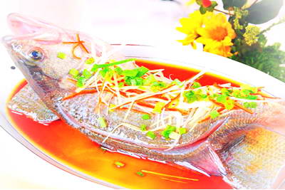 唐山国际旅游岛海鲜美食