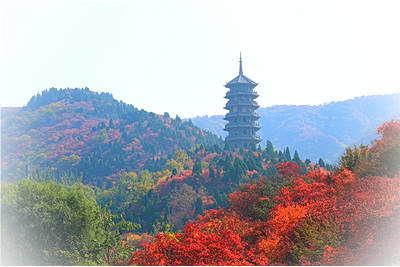济南红叶谷生态文化旅游区