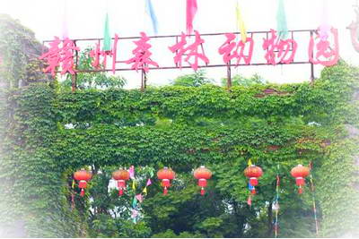 赣州森林动物园