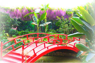 临沂龙园生态旅游度假区(龙园农庄)