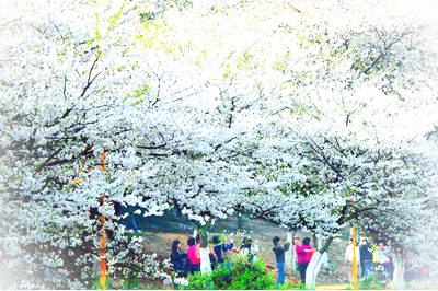 湖南省森林植物园