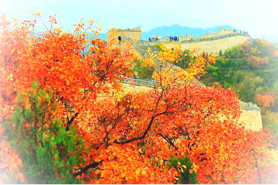 北京八达岭红叶岭景区