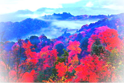 巴中光雾山红叶