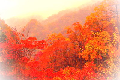 巴中光雾山红叶