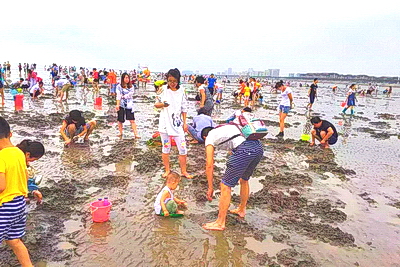 秦皇岛北戴河蟹贝湾