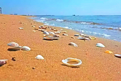 秦皇岛北戴河蟹贝湾