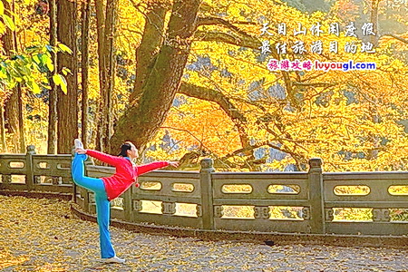 临安天目山休闲度假最佳旅游目的地
