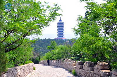 淄博原山国家森林公园
