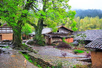鹰潭天门山生态游览区