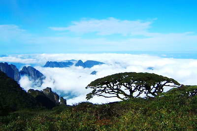 来宾金秀大瑶山景区