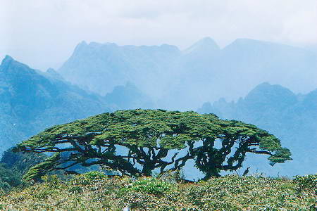 来宾金秀圣堂山