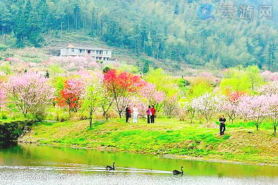 旗山国家森林公园