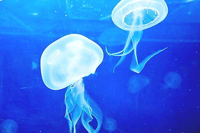 福州罗源湾海洋世界