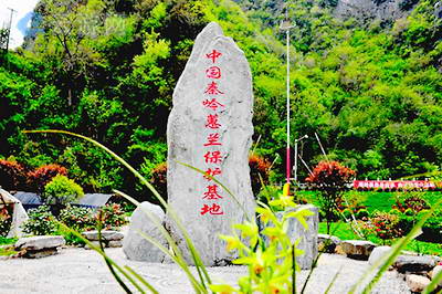 春游金丝峡
