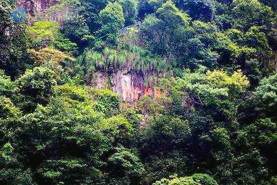 南平溪源峡谷