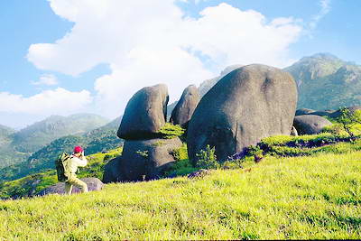龙岩上杭梅花山