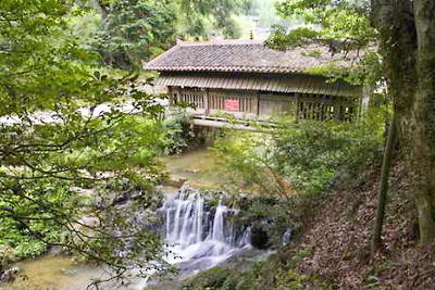 连城星光旅游度假区