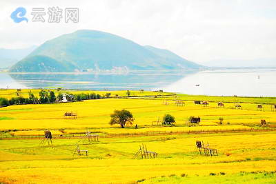 纳帕海依拉草原