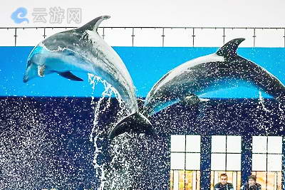 昆明石林冰雪海洋世界