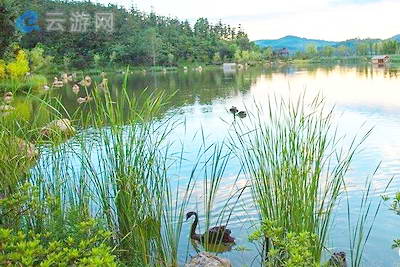 南京江宁银杏湖生态旅游区