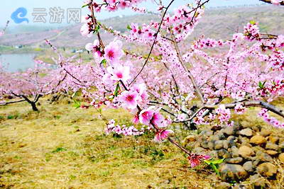 南京竹镇桃花岛景区