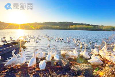 南京竹镇桃花岛景区