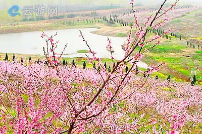 南京竹镇桃花岛景区
