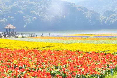 广州石门国家森林公园