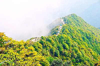 深圳梧桐山国家森林公园