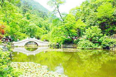 佛山免费森林公园