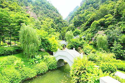 中山市的免费森林公园