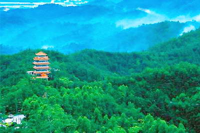 江门免费森林公园