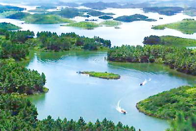 阳江免费森林公园
