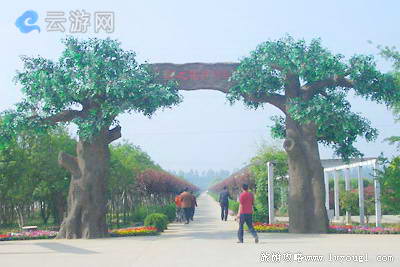 沭阳苏北花卉示范园