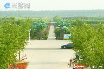 沭阳苏北花卉示范园