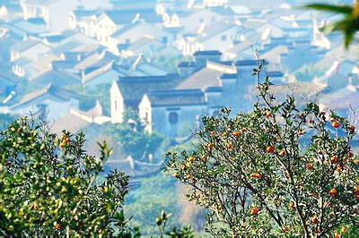 苏州东山陆巷古村